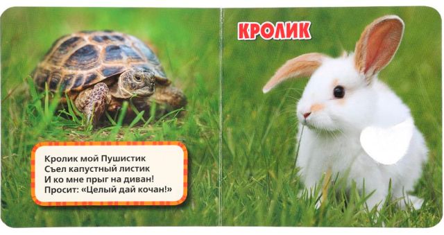 Домашние питомцы. Погладь меня! - Image 2