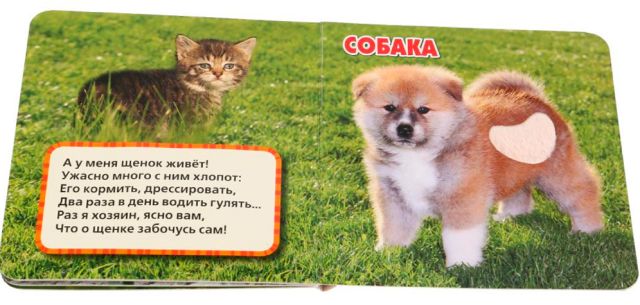 Домашние питомцы. Погладь меня! - Image 3